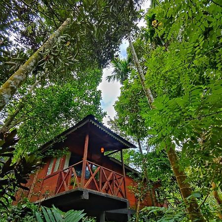 Wooden Cottages Glen Wayanad Meppadi Exterior photo