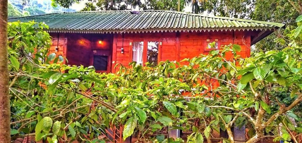 Wooden Cottages Glen Wayanad Meppadi Exterior photo
