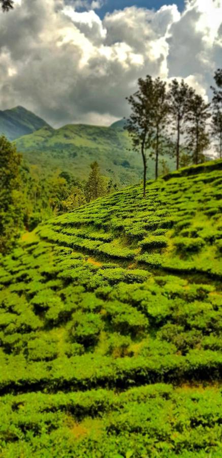 Wooden Cottages Glen Wayanad Meppadi Exterior photo