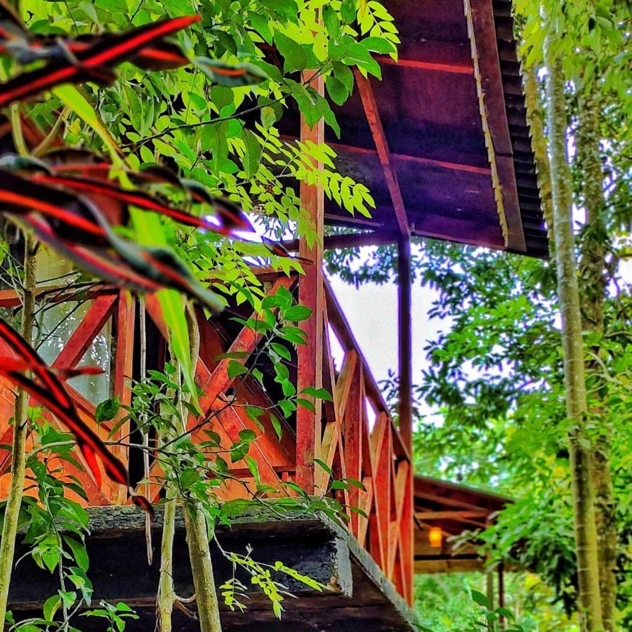 Wooden Cottages Glen Wayanad Meppadi Exterior photo