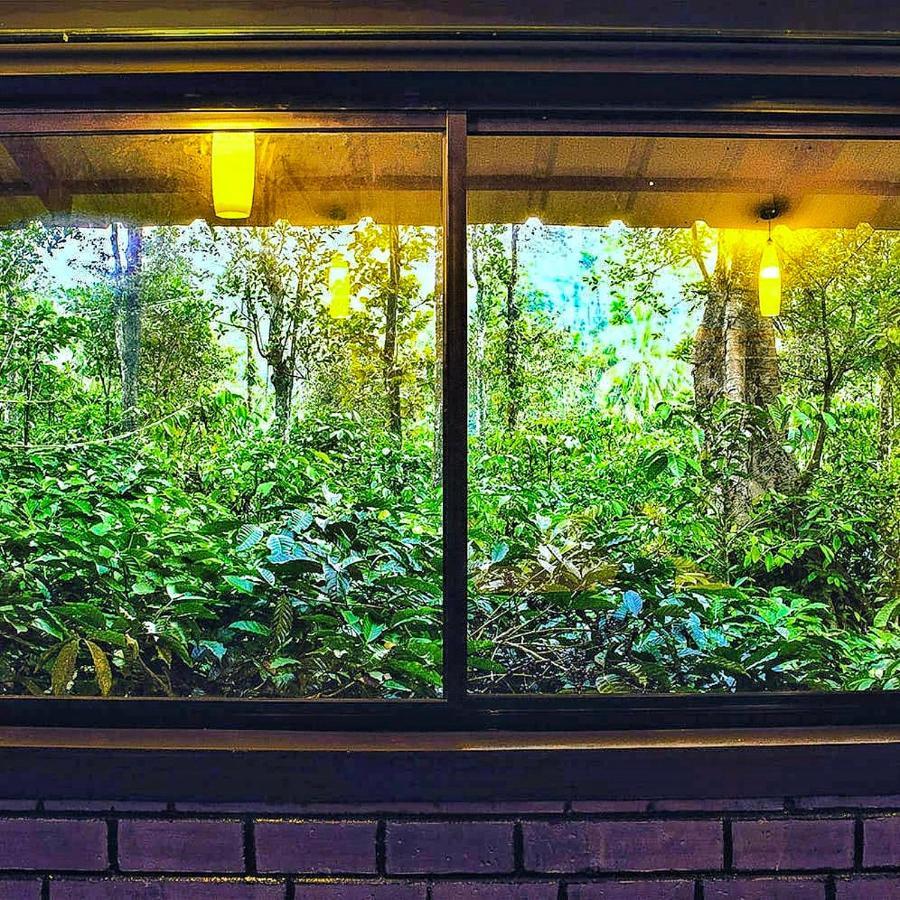 Wooden Cottages Glen Wayanad Meppadi Exterior photo