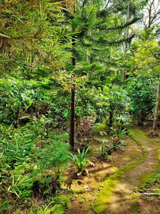 Wooden Cottages Glen Wayanad Meppadi Exterior photo