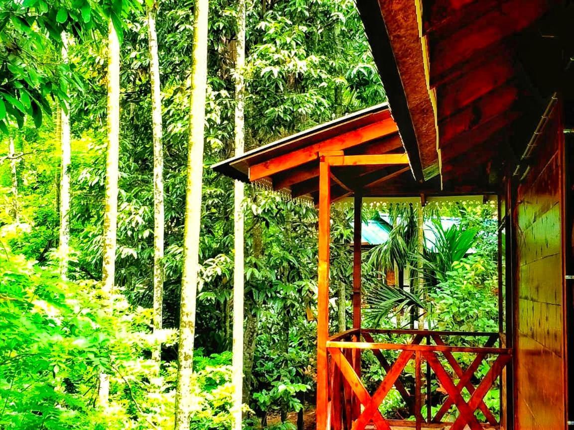 Wooden Cottages Glen Wayanad Meppadi Exterior photo