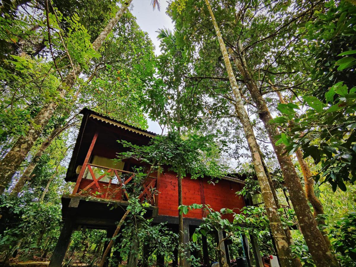Wooden Cottages Glen Wayanad Meppadi Exterior photo