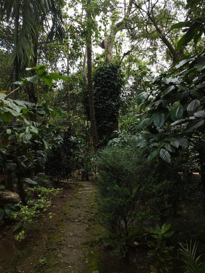 Wooden Cottages Glen Wayanad Meppadi Exterior photo