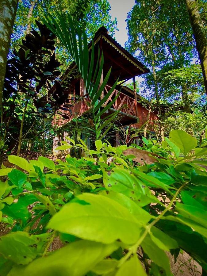 Wooden Cottages Glen Wayanad Meppadi Exterior photo