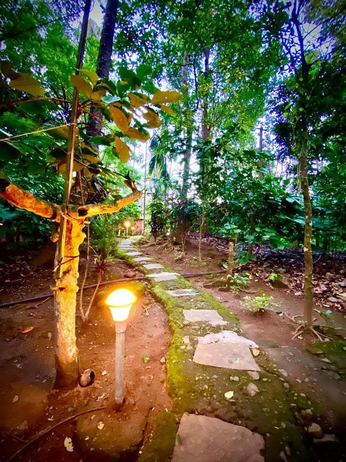 Wooden Cottages Glen Wayanad Meppadi Exterior photo