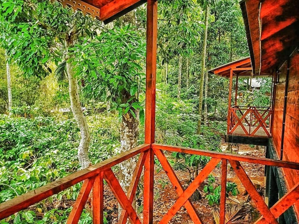 Wooden Cottages Glen Wayanad Meppadi Exterior photo