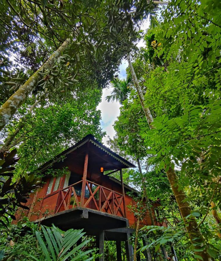 Wooden Cottages Glen Wayanad Meppadi Exterior photo